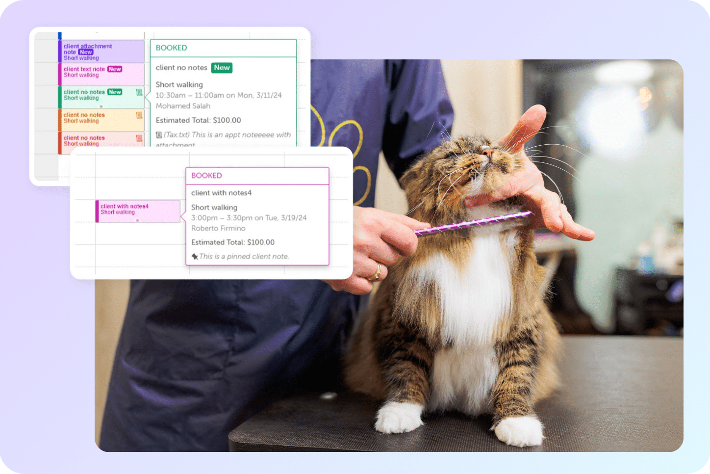 Choosing the Right Management Software for Your Pet Salon
