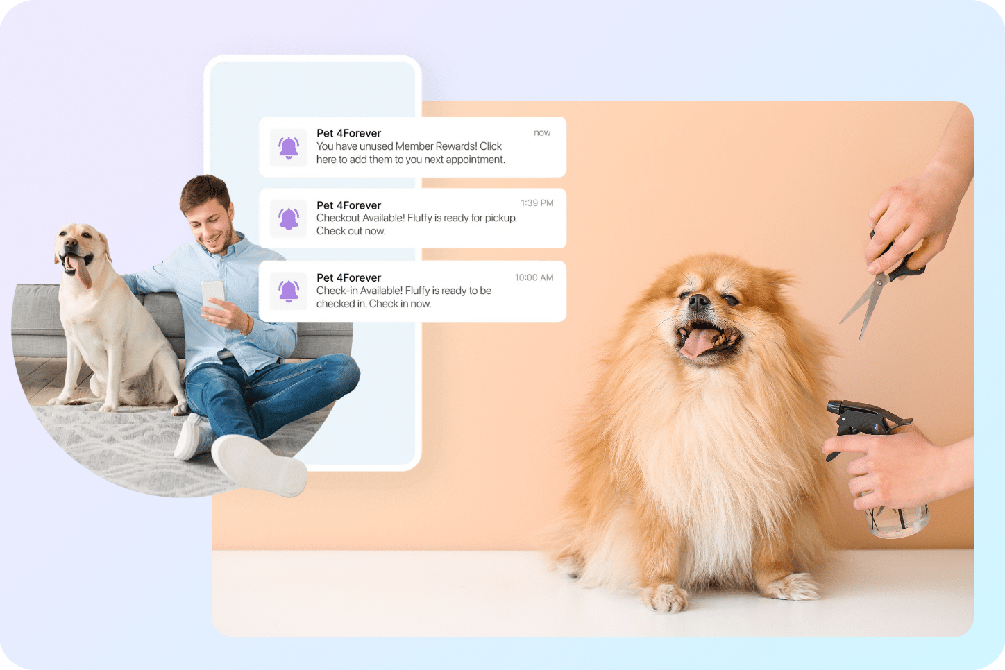 Marketing Your Pet Salon: Strategies for Attracting New Clients